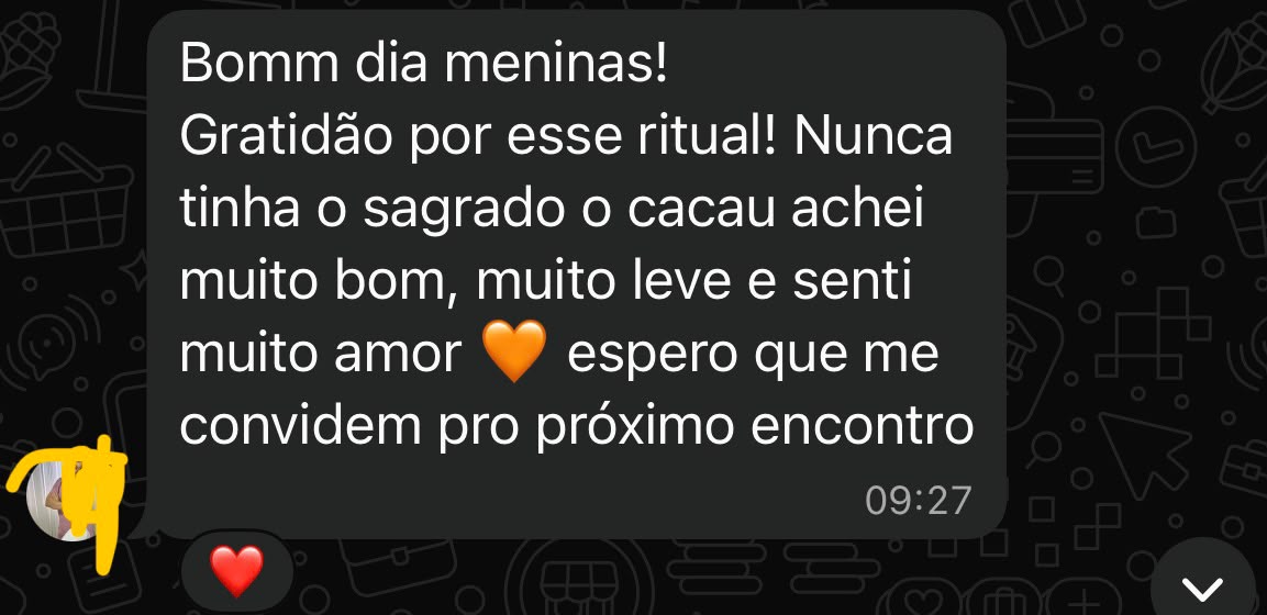 Depoimento original recebido pelo WhatsApp